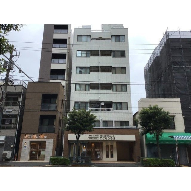 グリーンシャンク