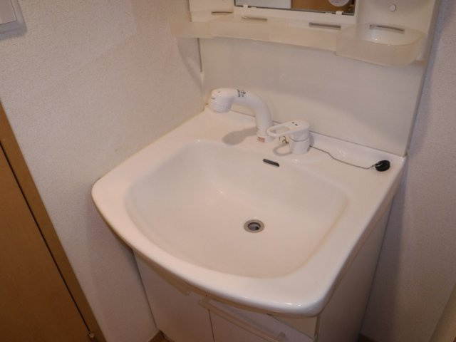 ワイルドダックの独立洗面台|他のお部屋の参考写真となります。
