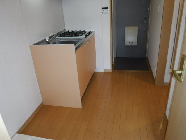 ワイルドダックの玄関|他のお部屋の参考写真となります。