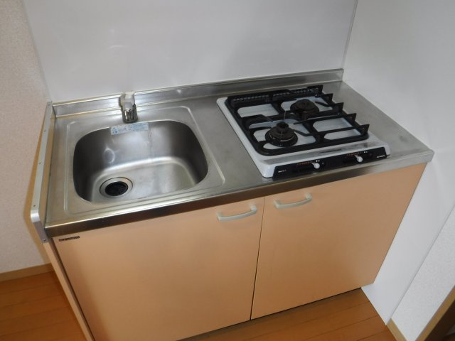 ワイルドダックのキッチン|他のお部屋の参考写真となります。