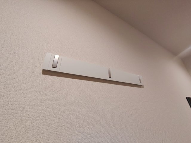 イル・ラシーヌⅤのその他