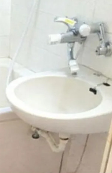 コンパートメント麻布の洗面所