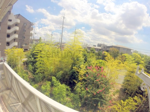 【展望】 | エクセレート山本南