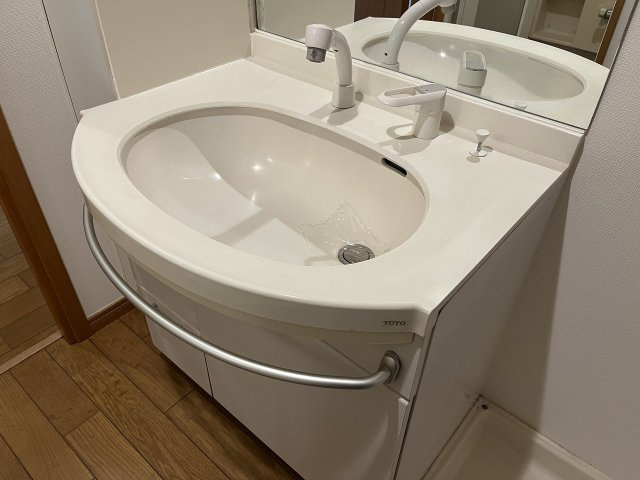 ワールドパレス文京本駒込の洗面所