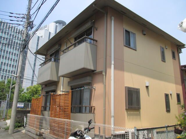 ワイルドダック