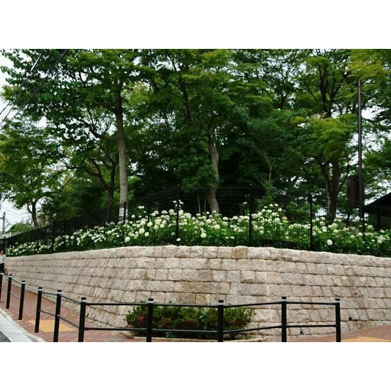 セードルＭの周辺|公園「まつぼっくり緑地まで299ｍ」