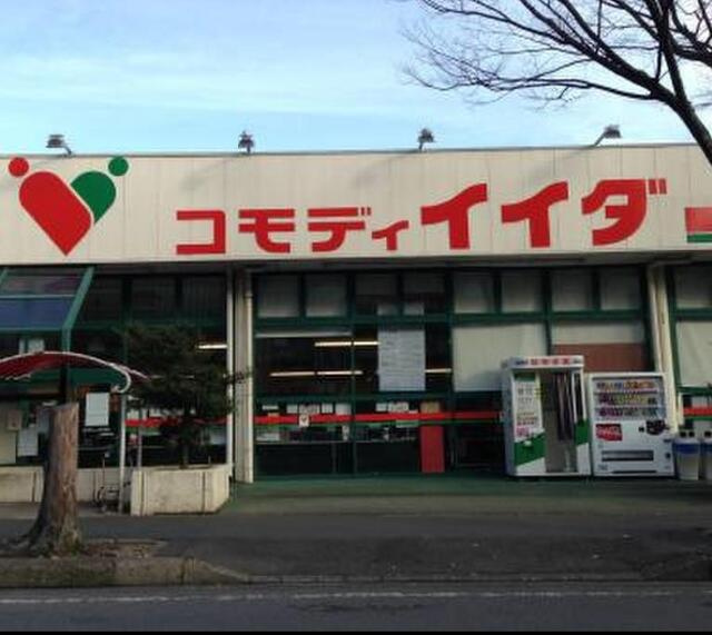 フォレスト・コートの周辺|コモディイイダ新松戸店まで994m