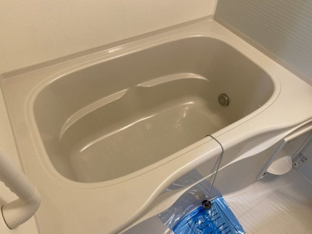 アイルグランデ押上イーストの浴室