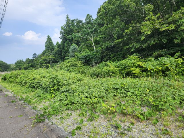 小良ヶ浜市ノ沢売地