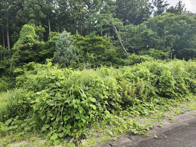 小良ヶ浜市ノ沢売地の外観