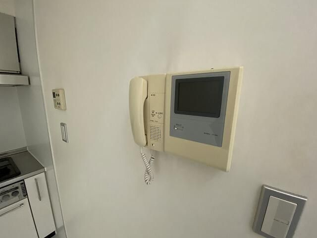 センティールのセキュリティ