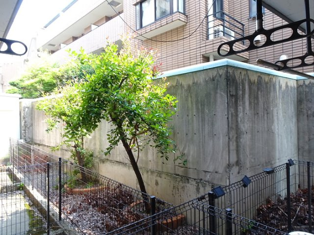 【展望】 | セレ渋谷本町