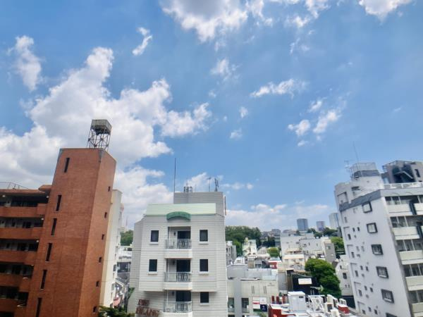 マイプレジール広尾のその他