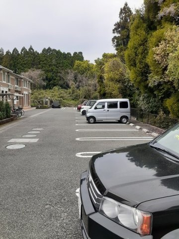 ヴィラ・グレイスⅡの駐車場