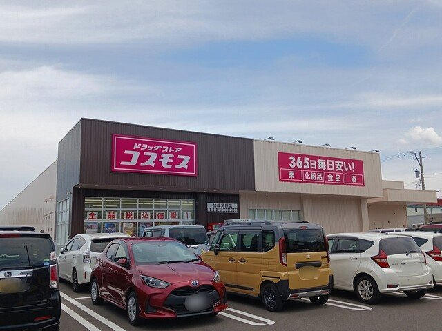 マ－ベラス・ウィングの周辺|コスモス　加茂河原店まで1169m