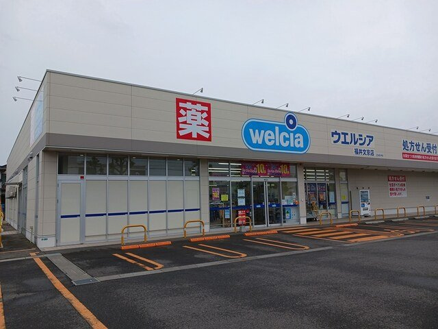 ヴィセオαの周辺|ウエルシア福井文京店まで299m
