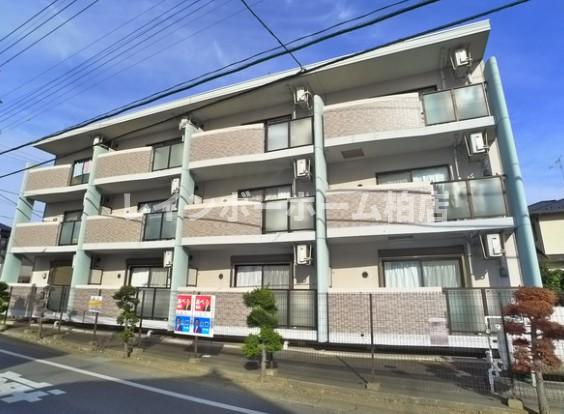 特典：仲介手数料が半額です!!