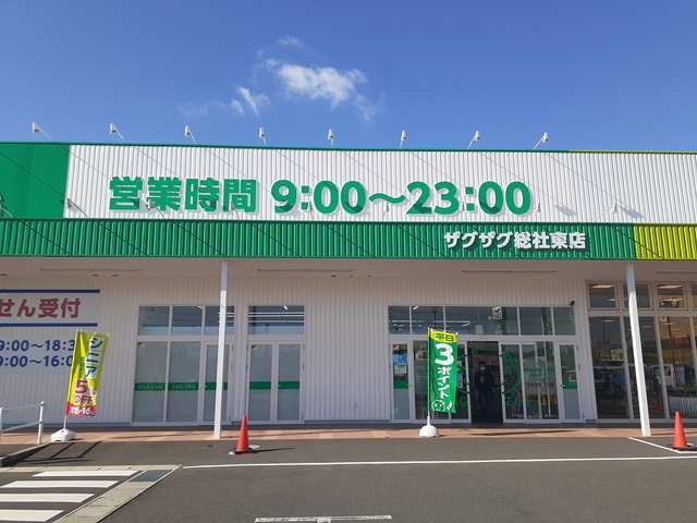 グラン・シャリオの周辺|ザグザグ東総社店まで1800m