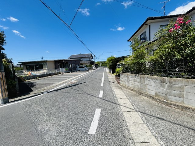 オレンジペコーの周辺