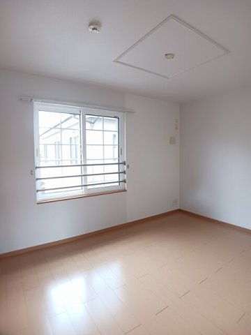 プリムラ　ジュリアンのその他