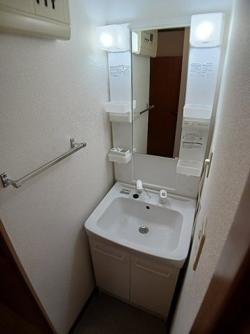 メゾン　カルフールＡの洗面所