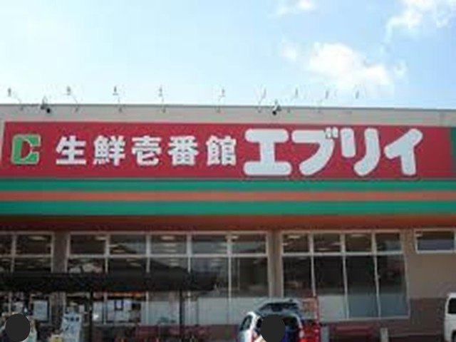 グリーンハウスおがわの周辺|エブリィまで600m