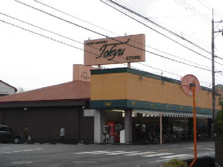 パストラルの周辺|東久ストア柳田店まで536ｍ