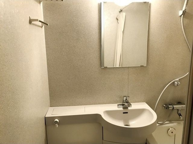 アルコすくもの洗面所