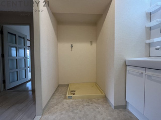 パープルツィン園田のその他
