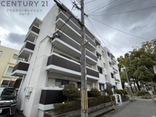 パープルツィン園田の画像