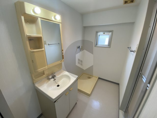 東大阪市御厨栄町３丁目の賃貸マンションの洗面所