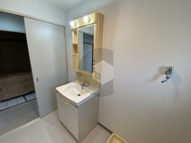 東大阪市御厨栄町３丁目の賃貸マンションの独立洗面台