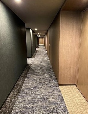 ブランズタワー豊洲のロビー|※別部屋参照