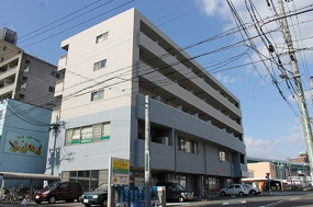 アイコート六番の画像