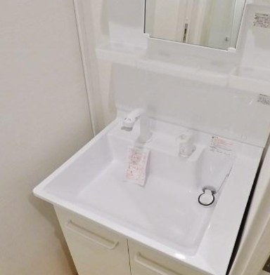 川口市芝２丁目のアパートの洗面所