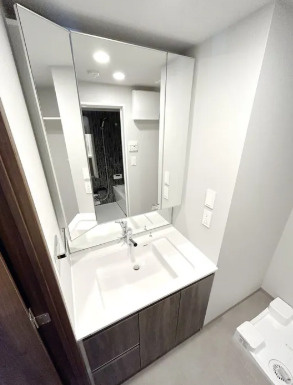 ＬＩＭＥＲＥＳＩＤＥＮＣＥ　ＨＩＫＩＦＵＮＥの洗面所