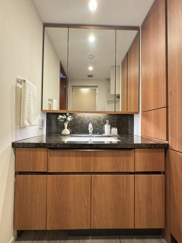 ディアナコート小石川竹早の洗面所