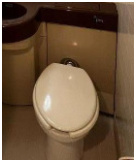 ライオンズマンション新板橋のトイレ