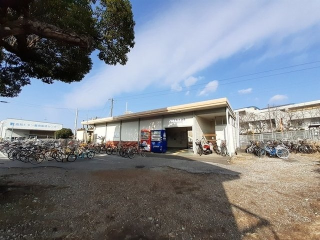 ひまわりの周辺|その他