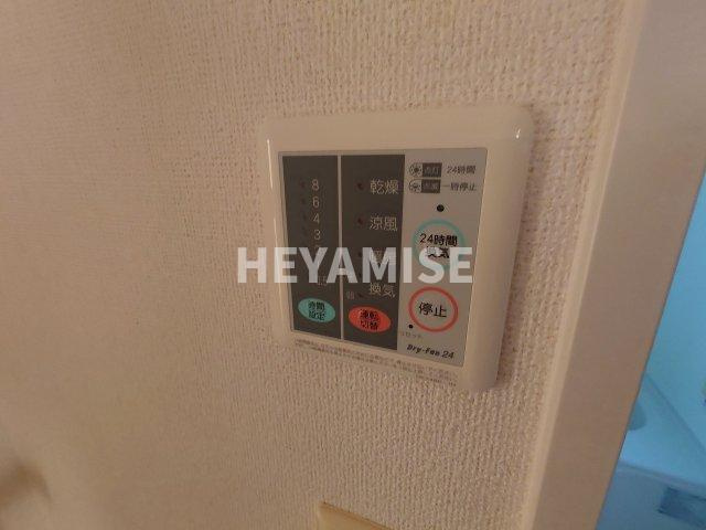 アースリーヒルBのその他