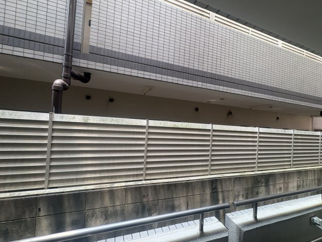 シルフィードの展望