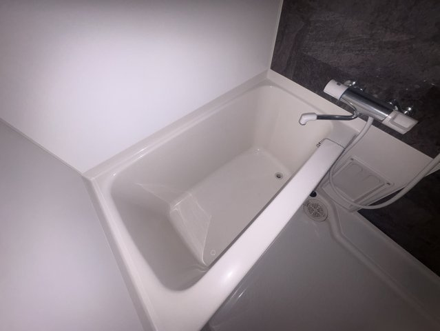 S-RESIDENCE江坂Alegriaの浴室