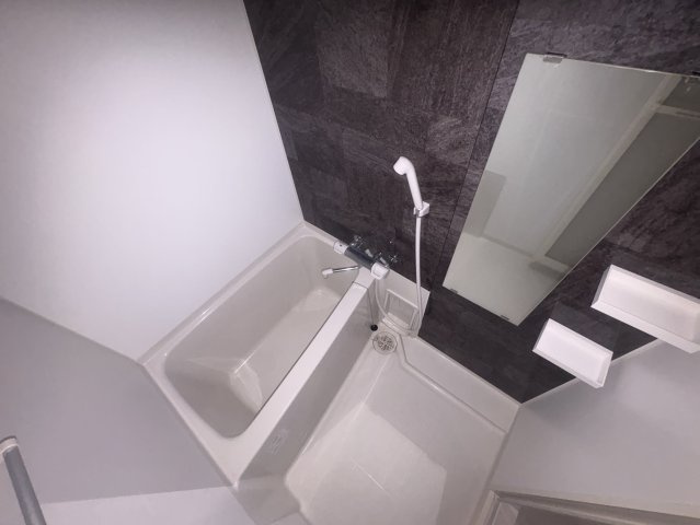 S-RESIDENCE江坂Alegriaの浴室