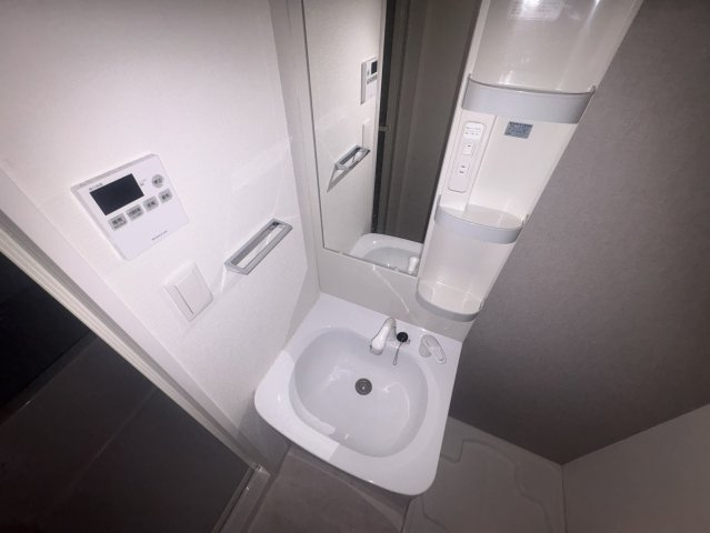 S-RESIDENCE江坂Alegriaの独立洗面台