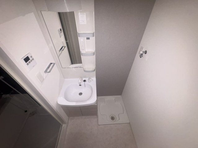 S-RESIDENCE江坂Alegriaの洗面所