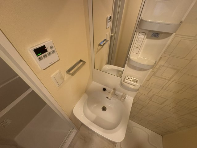 S-RESIDENCE江坂Alegriaの洗面所