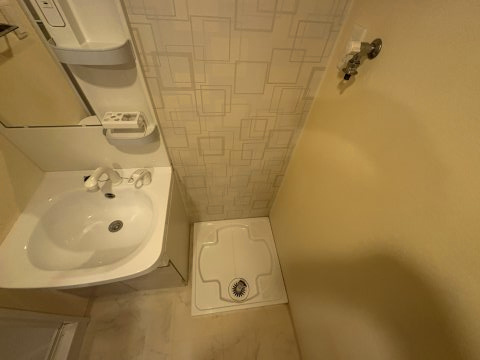 S-RESIDENCE江坂Alegriaの洗面所