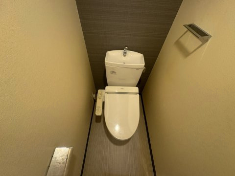 S-RESIDENCE江坂Alegriaのトイレ