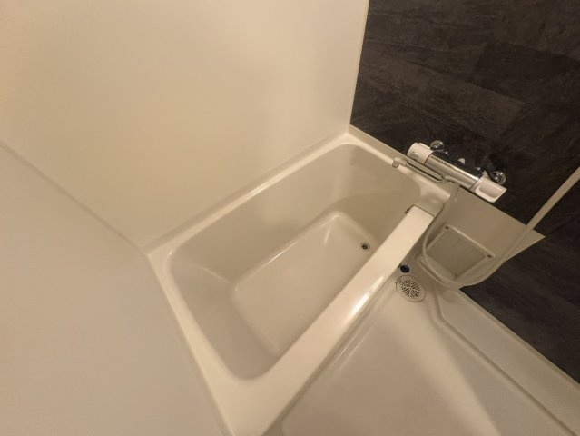 S-RESIDENCE江坂Alegriaの浴室