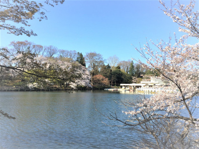 井の頭恩賜公園まで350m
